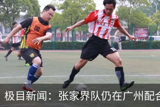 极目新闻：张家界队仍在广州配合调查，警方和多个主管部门已介入