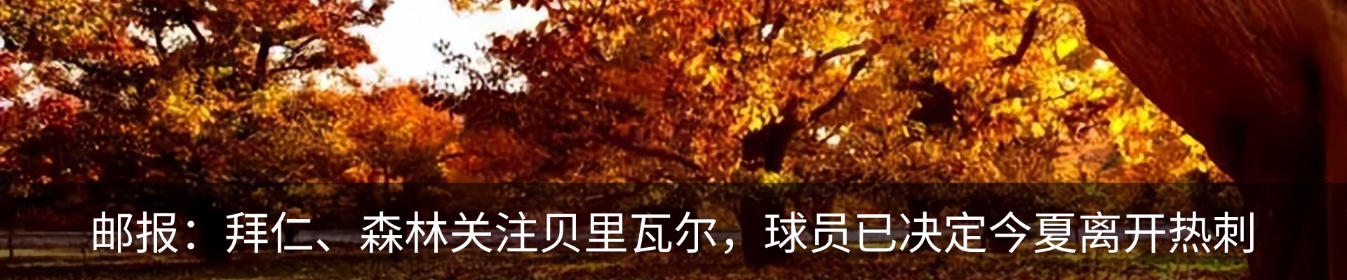 内页banner